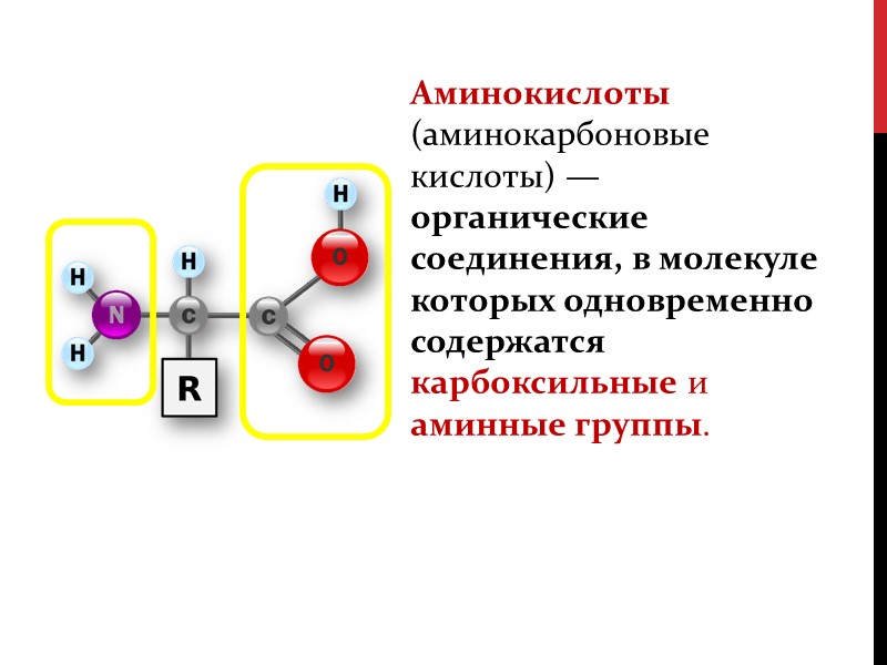 Аминокислоты (аминокарбоновые кислоты) — органические соединения, в молекуле которых одновременно содержатся карбоксильные и аминные